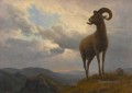 OVEJA BIGHORN animal americano Albert Bierstadt